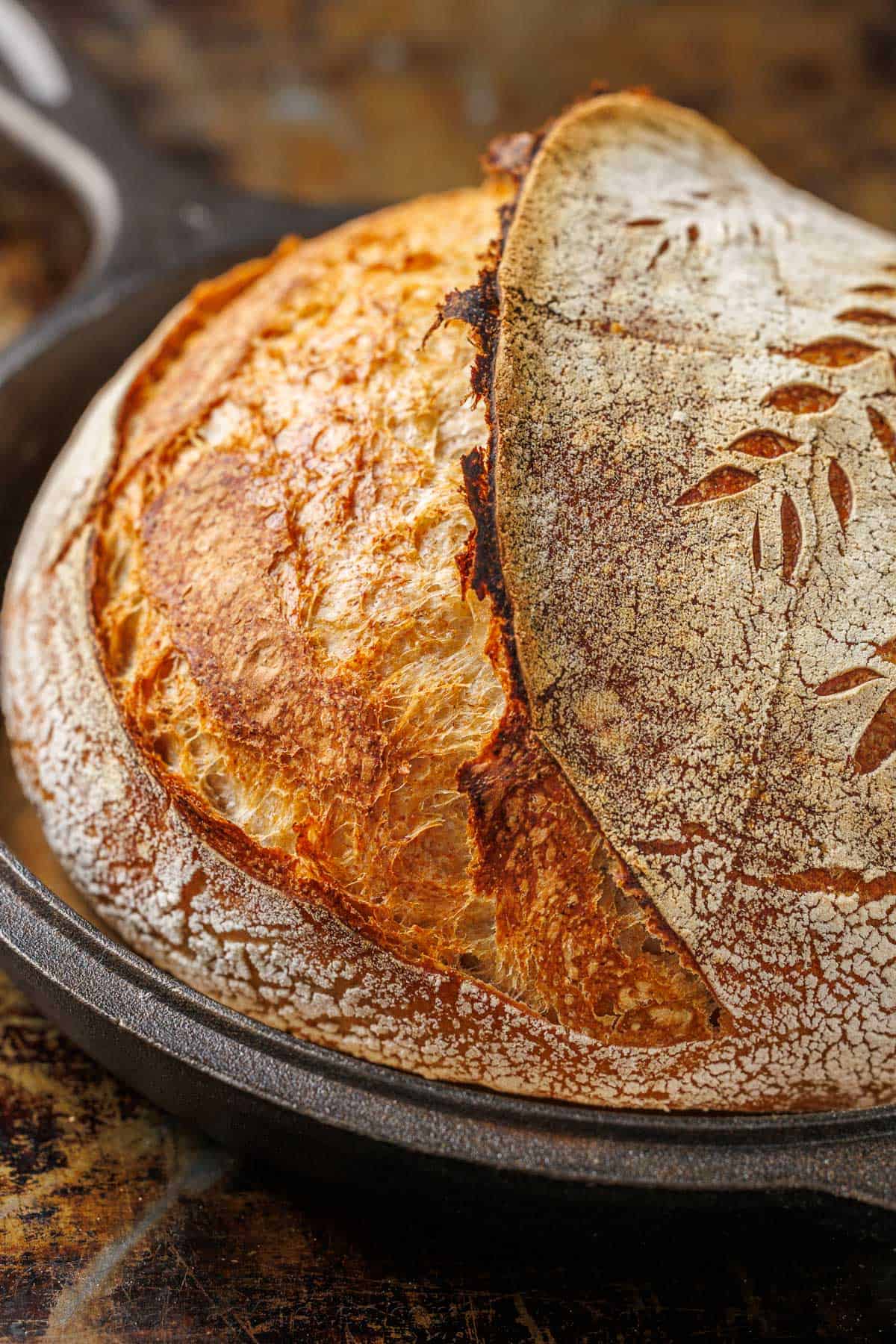 Baked Sourdough with great oven spring on a cast iron pan