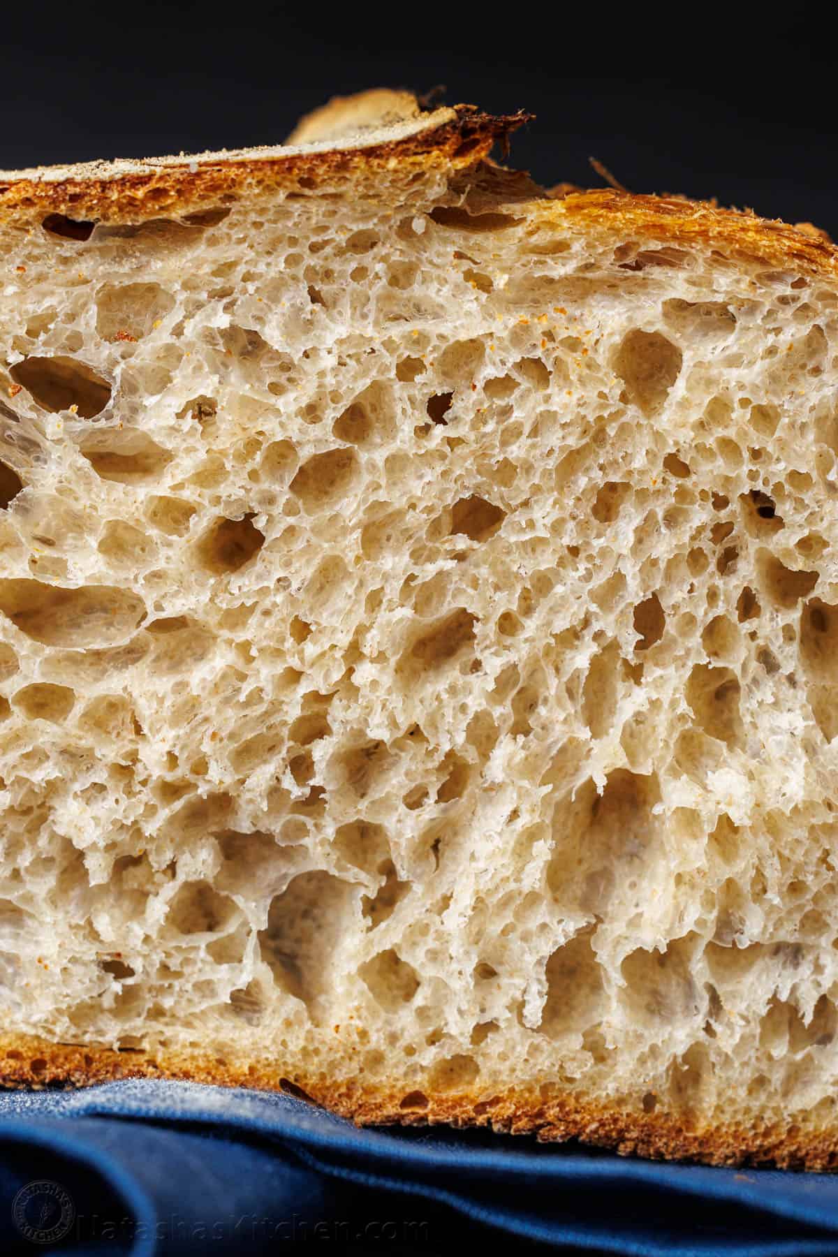 Close up photo of airy sourdough bread crumb from our sourdough bread recipe for beginners