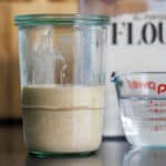 how to feed a sourdough starter tutorial