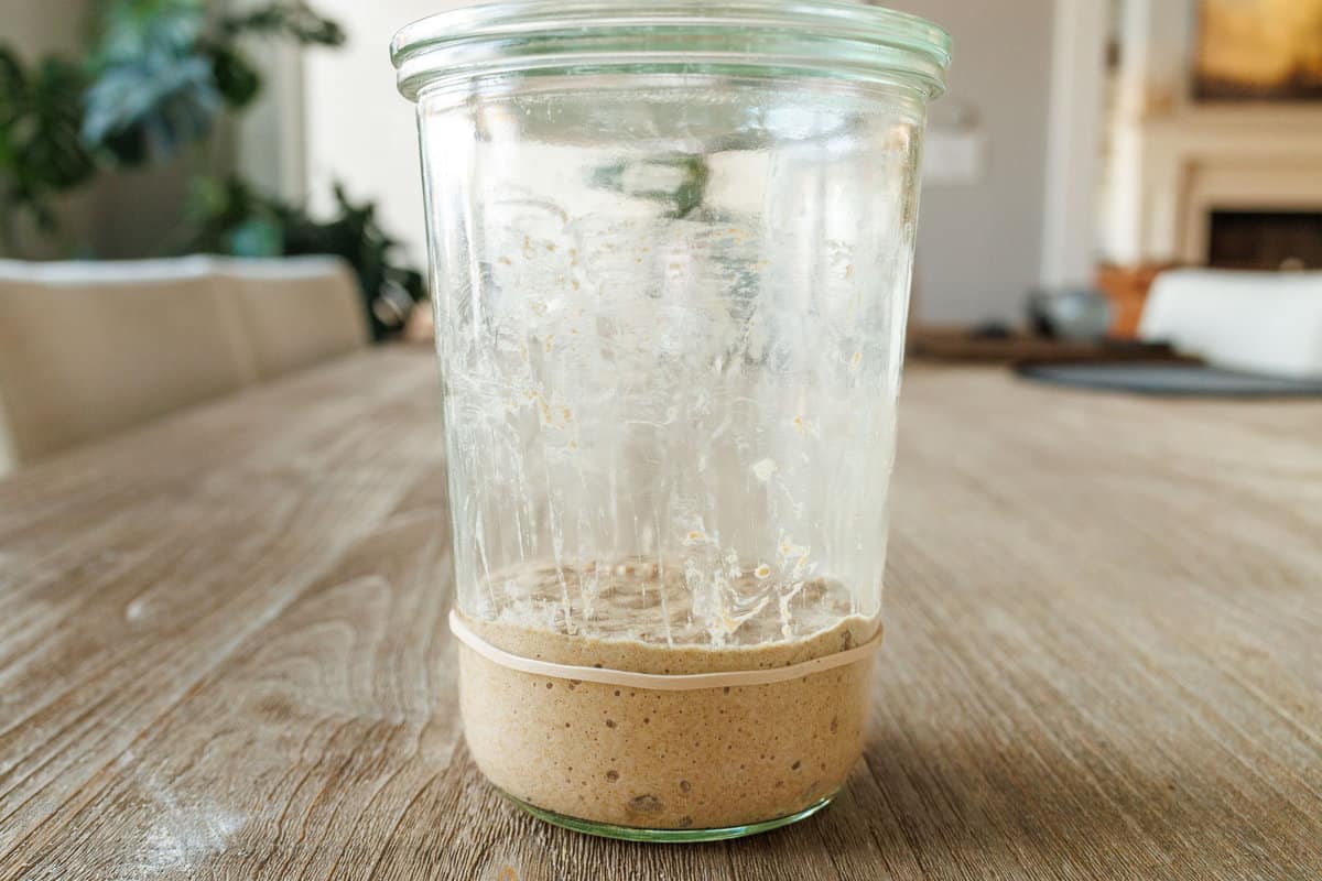 Sourdough Starter on day 2 in jar