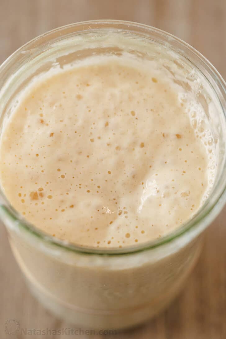 Sourdough bread Starter at the peak of height with bubbles