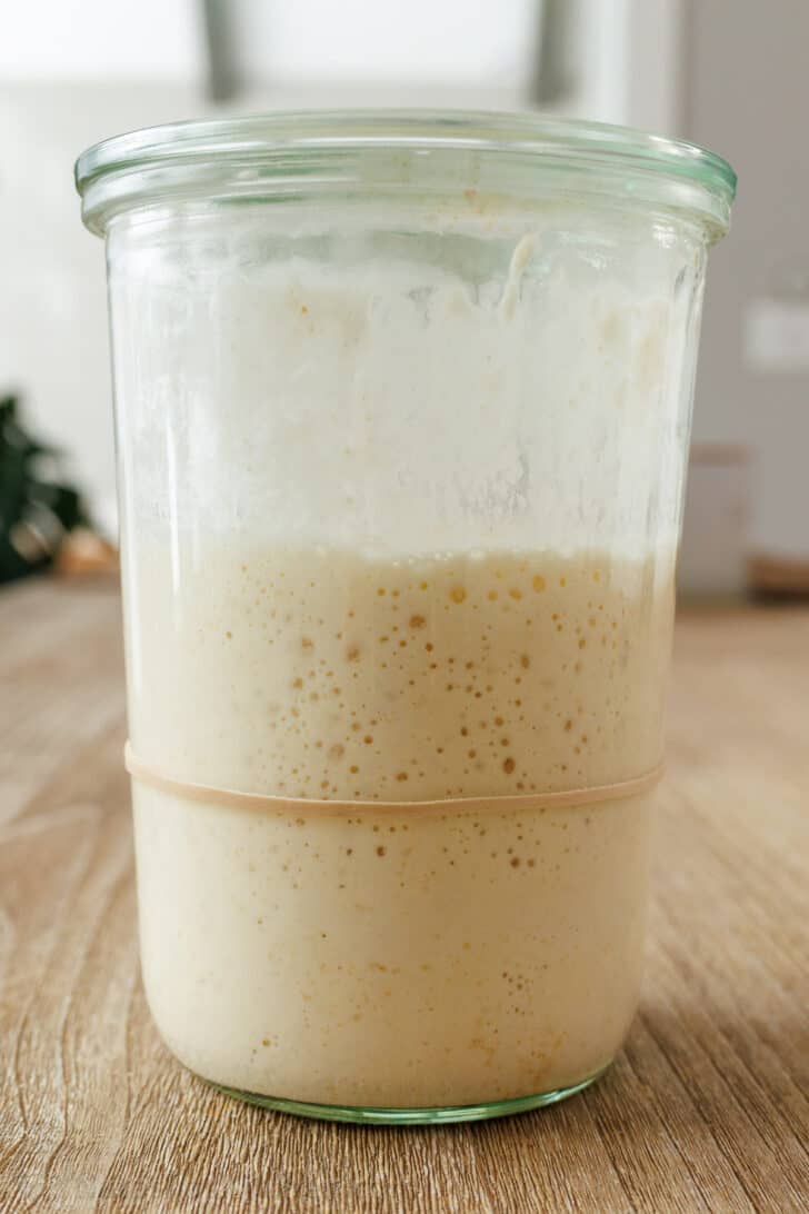 Homemade sourdough starter doubled in size at day 6