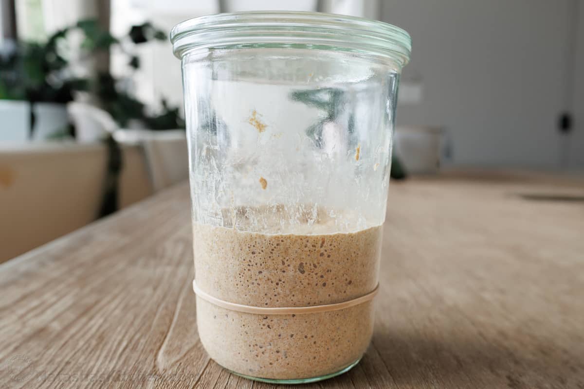 Day 3 sourdough starter in jar