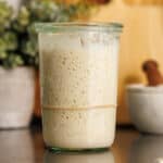 Bubbly sourdough bread starter recipe