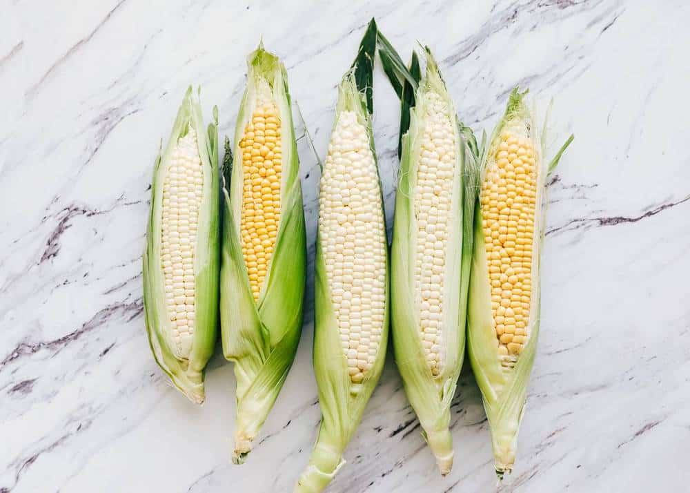 Corn on the cob in husks.