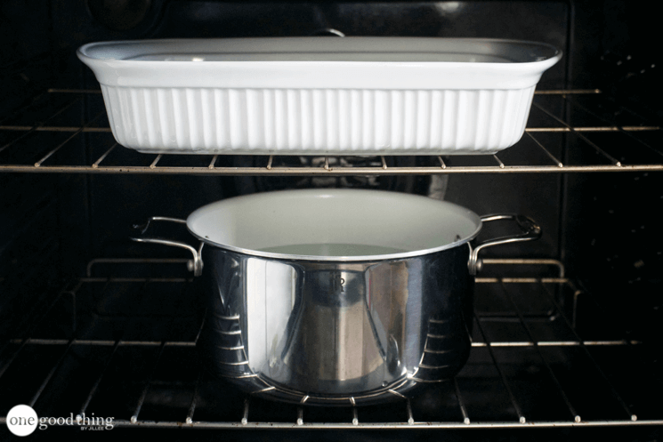 Homemade Oven Cleaner