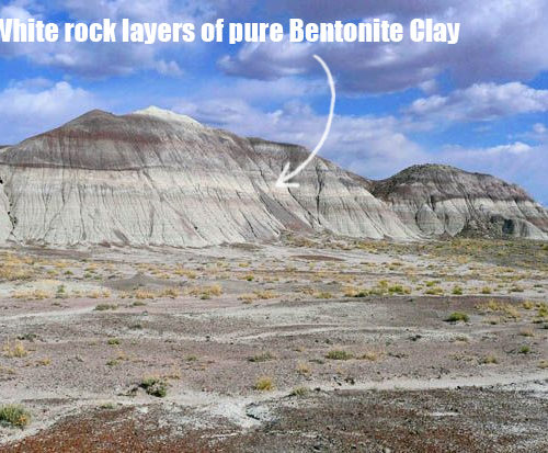 bentonite clay 