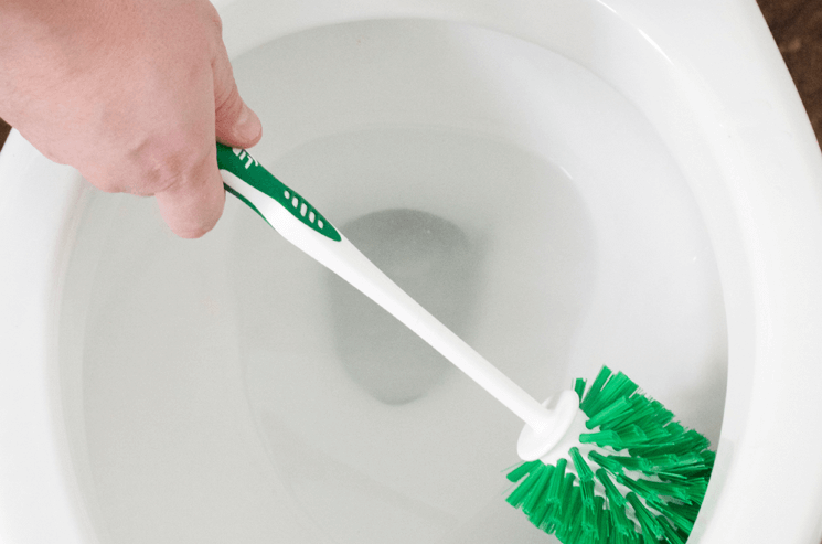 DIY Toilet Cleaner Tabs