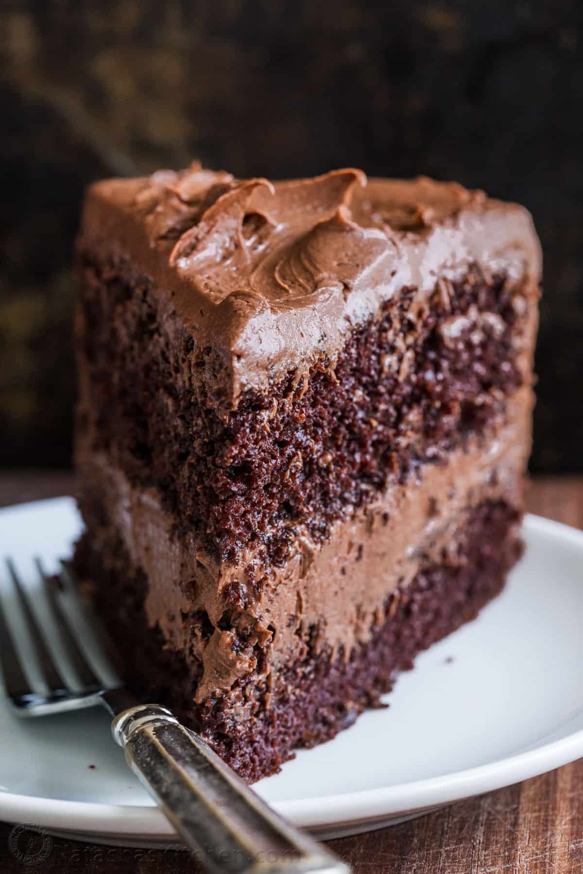 Piece of homemade chocolate cake on a plate with fork