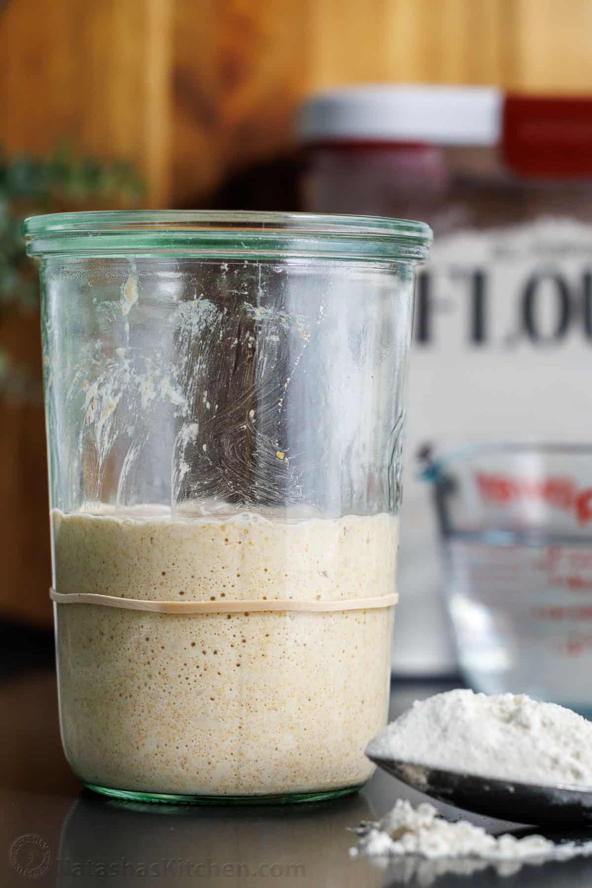 how to feed sourdough starter using flour and water